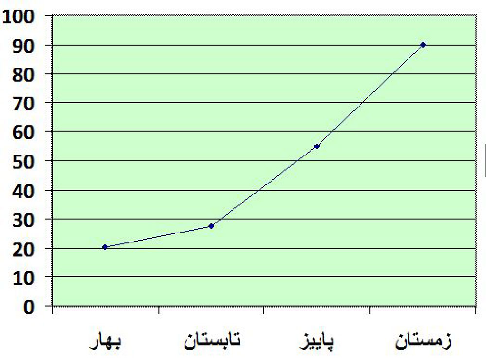 دمپایی پولیشی زنانه