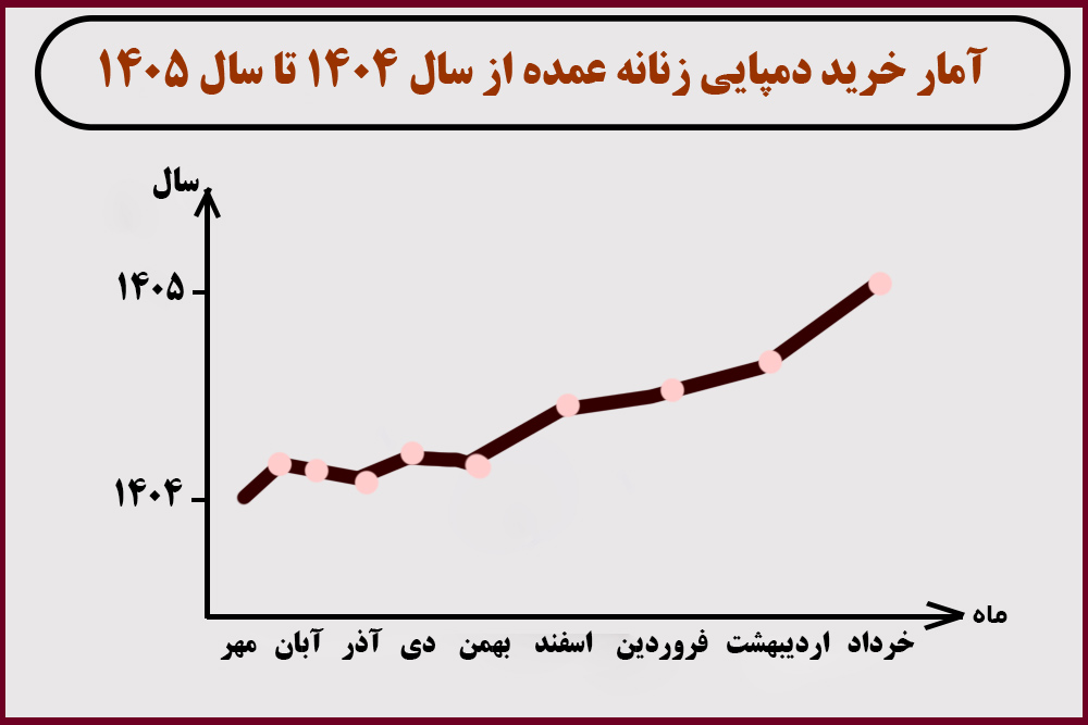 خرید دمپایی زنانه عمده